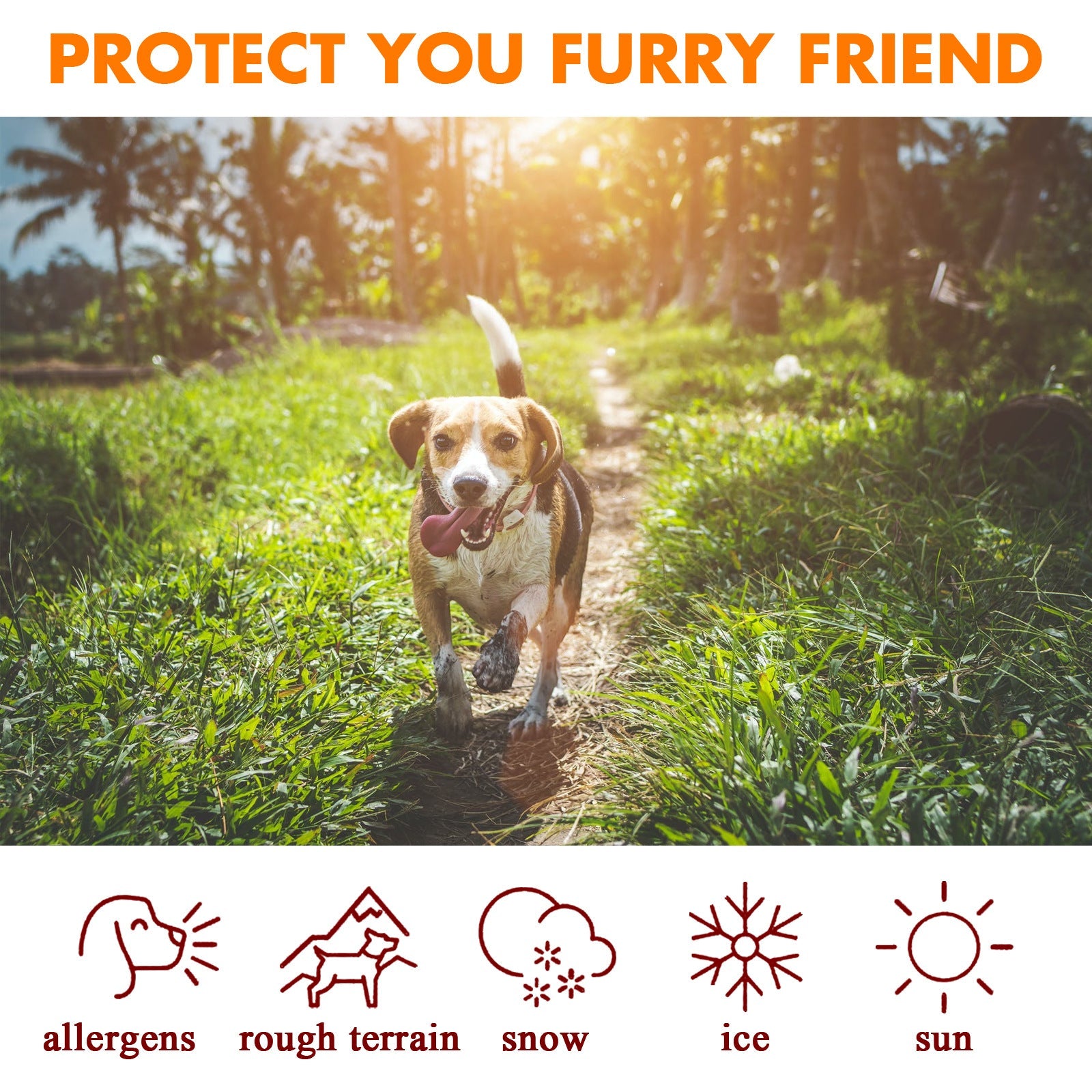 KFX-2389181 Pet Paw Care Cream for Foot Pad Protection - Nourishing Oil with Natural Ingredients