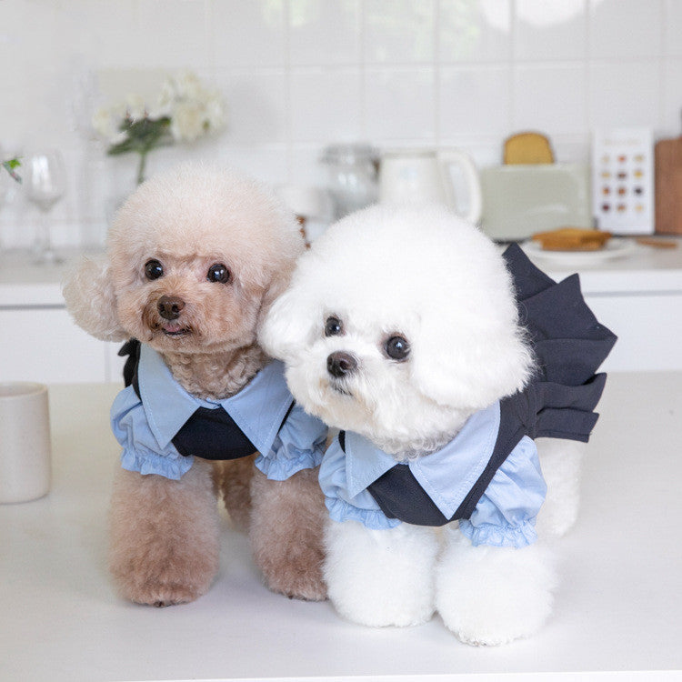 KFX-2394685 Cozy Dark Gray Teddy Dog Outfit for All Sizes