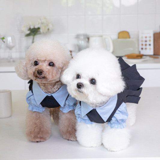 KFX-2394685 Cozy Dark Gray Teddy Dog Outfit for All Sizes