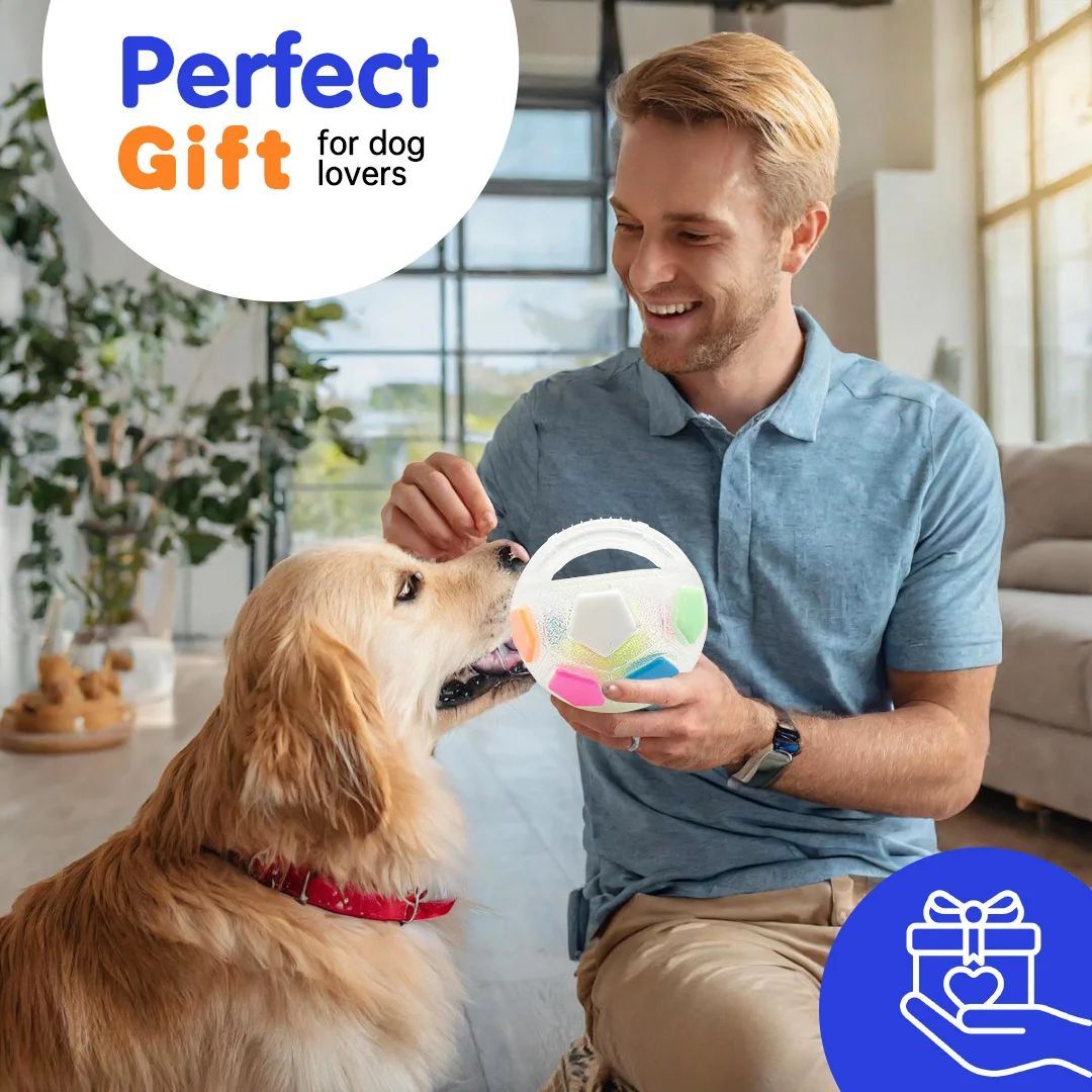 KFX-2395709 Durable Football Tennis Ball Shaped Dog Toy for Outdoor Training and Teething Relief