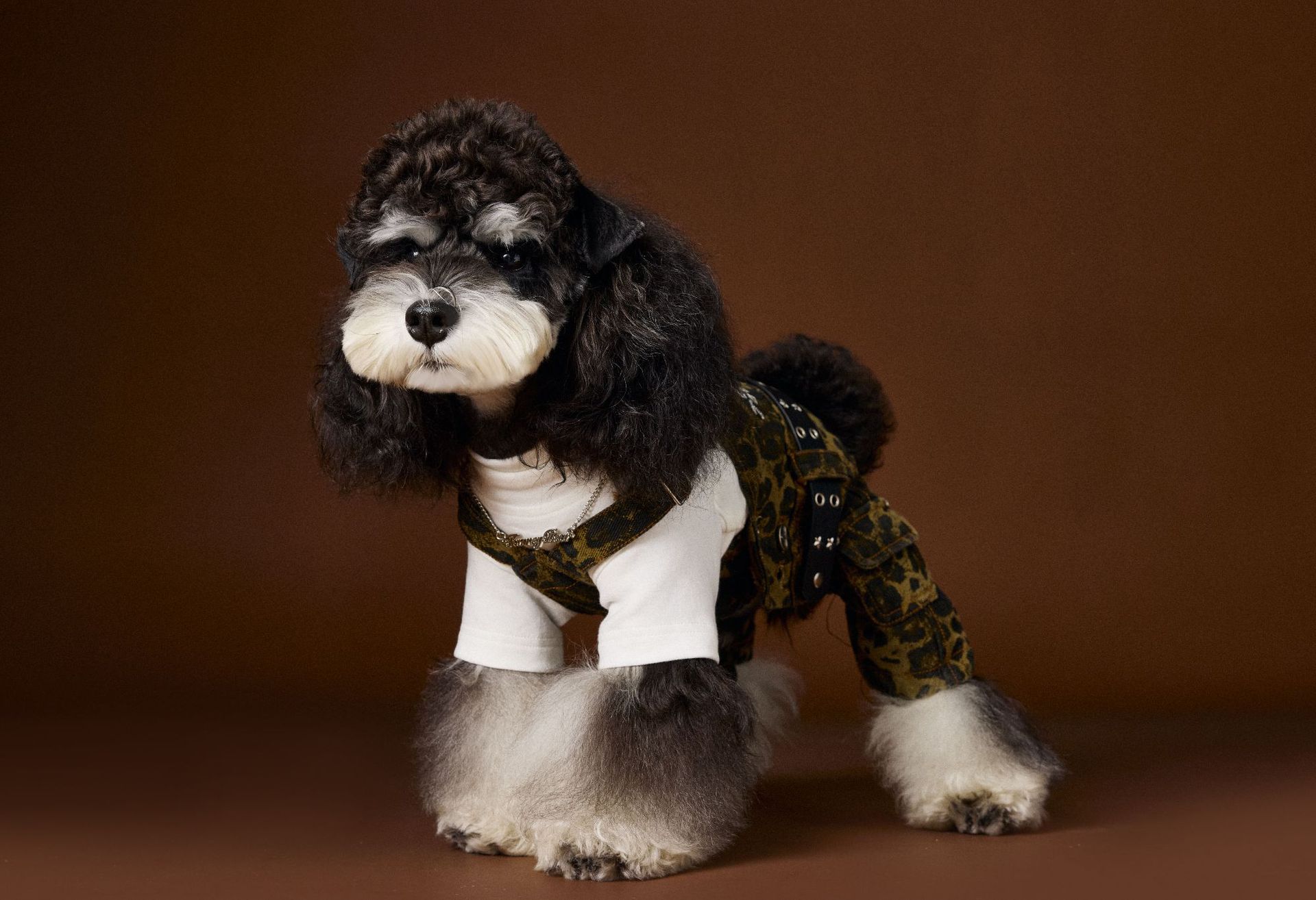 KFX-2418877 Autumn Leopard Print Cotton Overalls for Dogs in Various Sizes