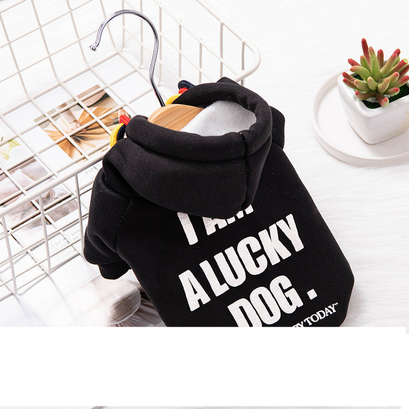 KFX-2419389 Trendy Polyester Sweater for Cats and Dogs - Cozy and Stylish Pet Apparel