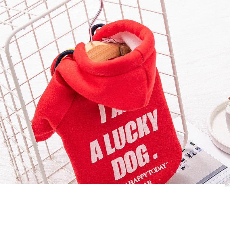 KFX-2419389 Trendy Polyester Sweater for Cats and Dogs - Cozy and Stylish Pet Apparel