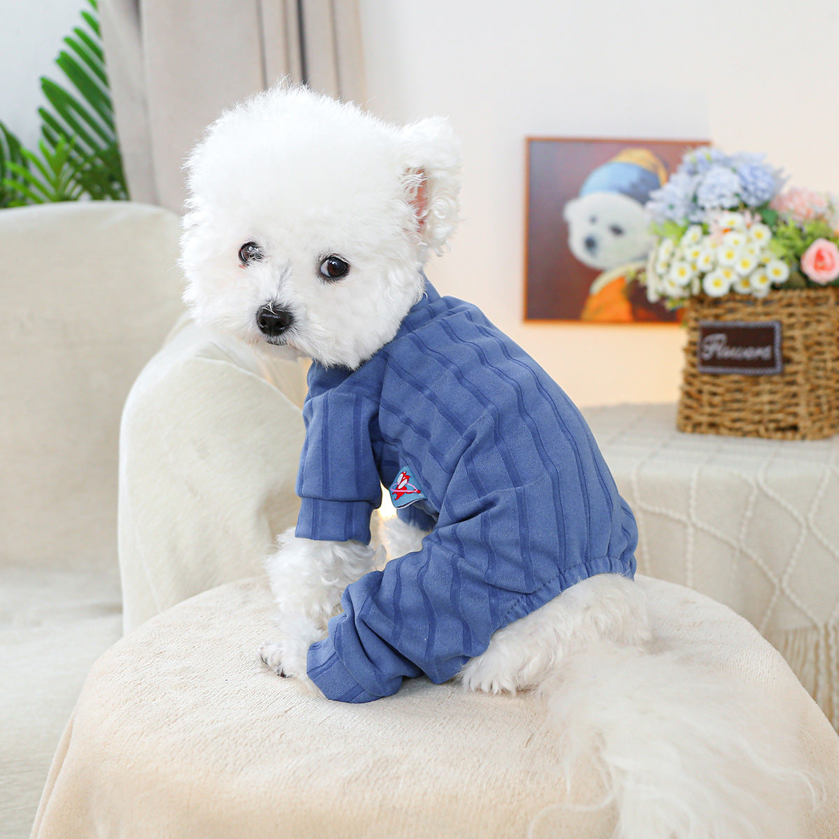 KFX-2419901 Belly-Wrap Four-Legged Outfit in Various Colors and Patterns for Pets