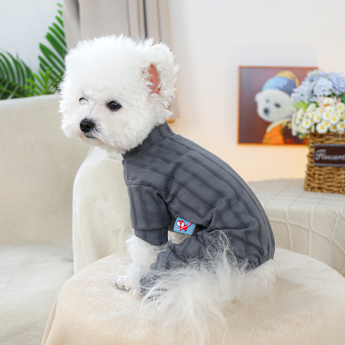KFX-2419901 Belly-Wrap Four-Legged Outfit in Various Colors and Patterns for Pets