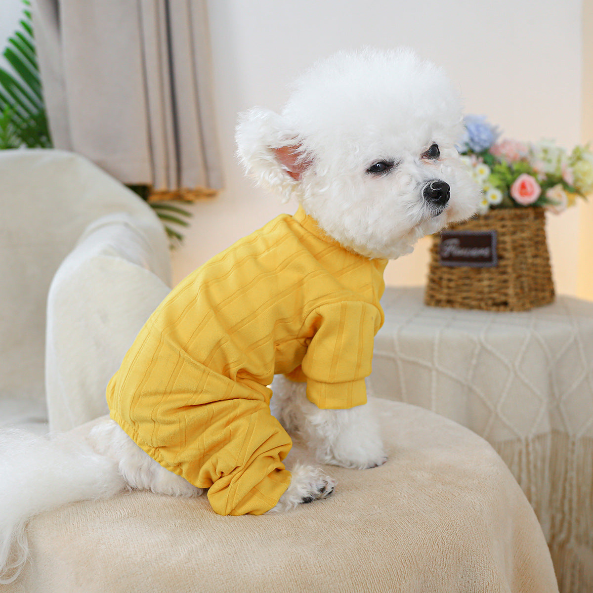 KFX-2419901 Belly-Wrap Four-Legged Outfit in Various Colors and Patterns for Pets