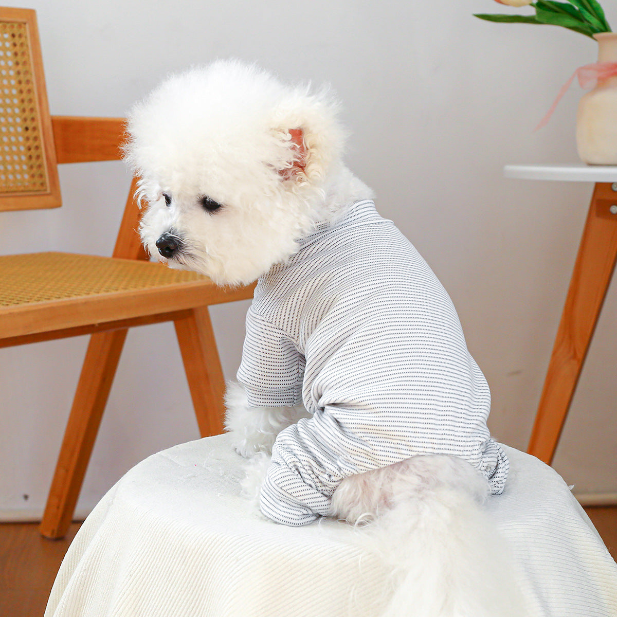 KFX-2419901 Belly-Wrap Four-Legged Outfit in Various Colors and Patterns for Pets