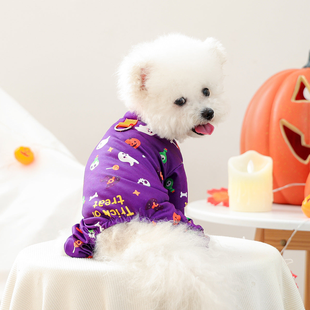KFX-2419901 Belly-Wrap Four-Legged Outfit in Various Colors and Patterns for Pets