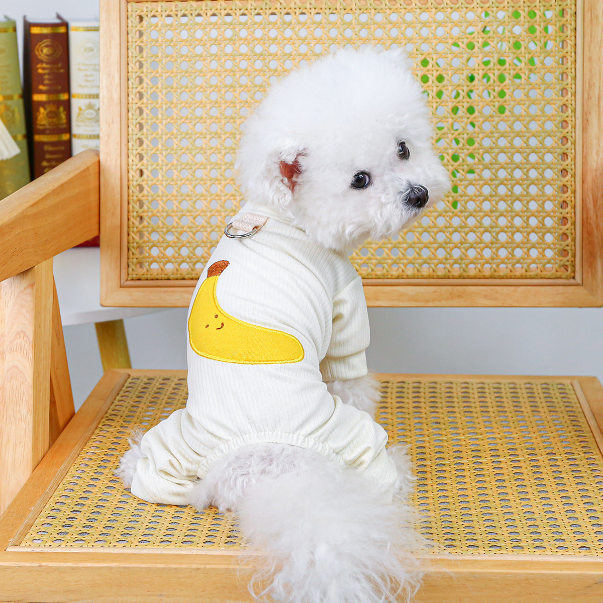 KFX-2419901 Belly-Wrap Four-Legged Outfit in Various Colors and Patterns for Pets