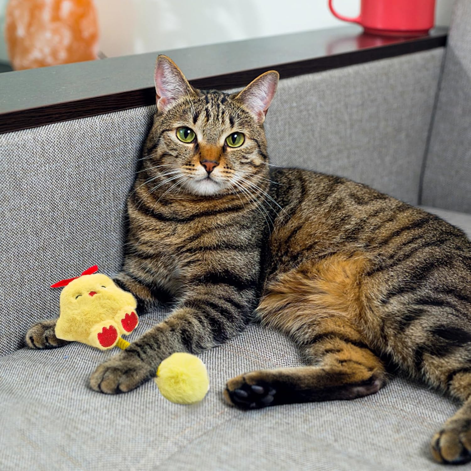 KFX-2421565 Interactive Cat Teething Toys with Silvervine Fruit and Plush Spring Fuzzy Ball for Indoor Kittens