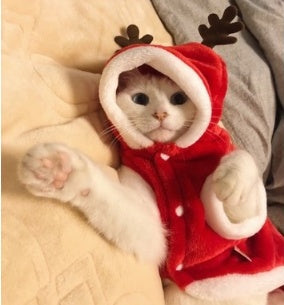 KFX-2424253 Red Flannel Santa Costume for Small Dogs, Christmas Pet Clothing, XS to XL Sizes