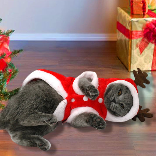 KFX-2424253 Red Flannel Santa Costume for Small Dogs, Christmas Pet Clothing, XS to XL Sizes
