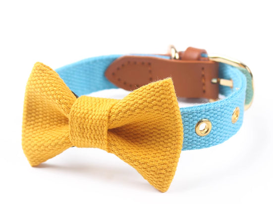 KFX-2427837 Canvas Rope Collar with Leather Stitching in Various Colors and Sizes