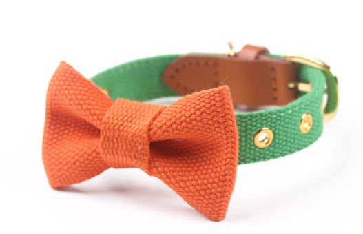 KFX-2427837 Canvas Rope Collar with Leather Stitching in Various Colors and Sizes