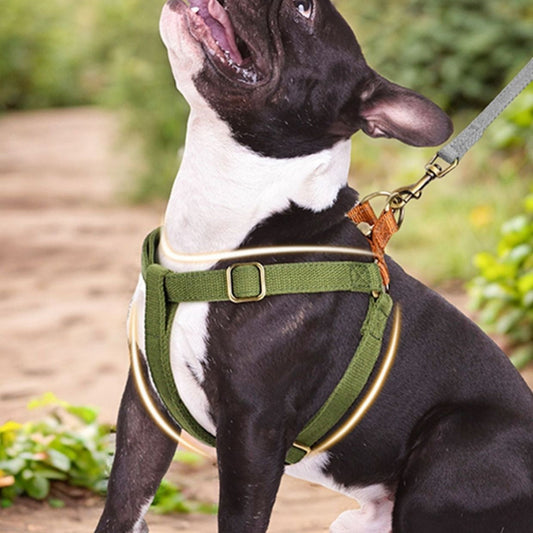 KFX-2429117 Small and Medium Dog Chest Strap for Teddy and Corgi Breeds, Adjustable ABS Material