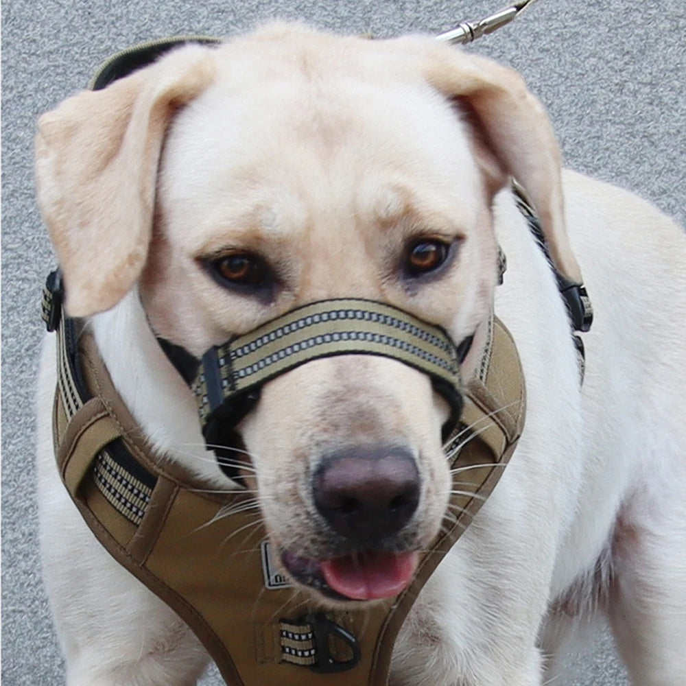 KFX-2438845 Reflective Adjustable Muzzle for Medium to Large Dogs - Ideal for Siberian Huskies and Golden Retrievers