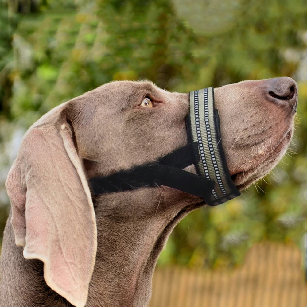 KFX-2438845 Reflective Adjustable Muzzle for Medium to Large Dogs - Ideal for Siberian Huskies and Golden Retrievers
