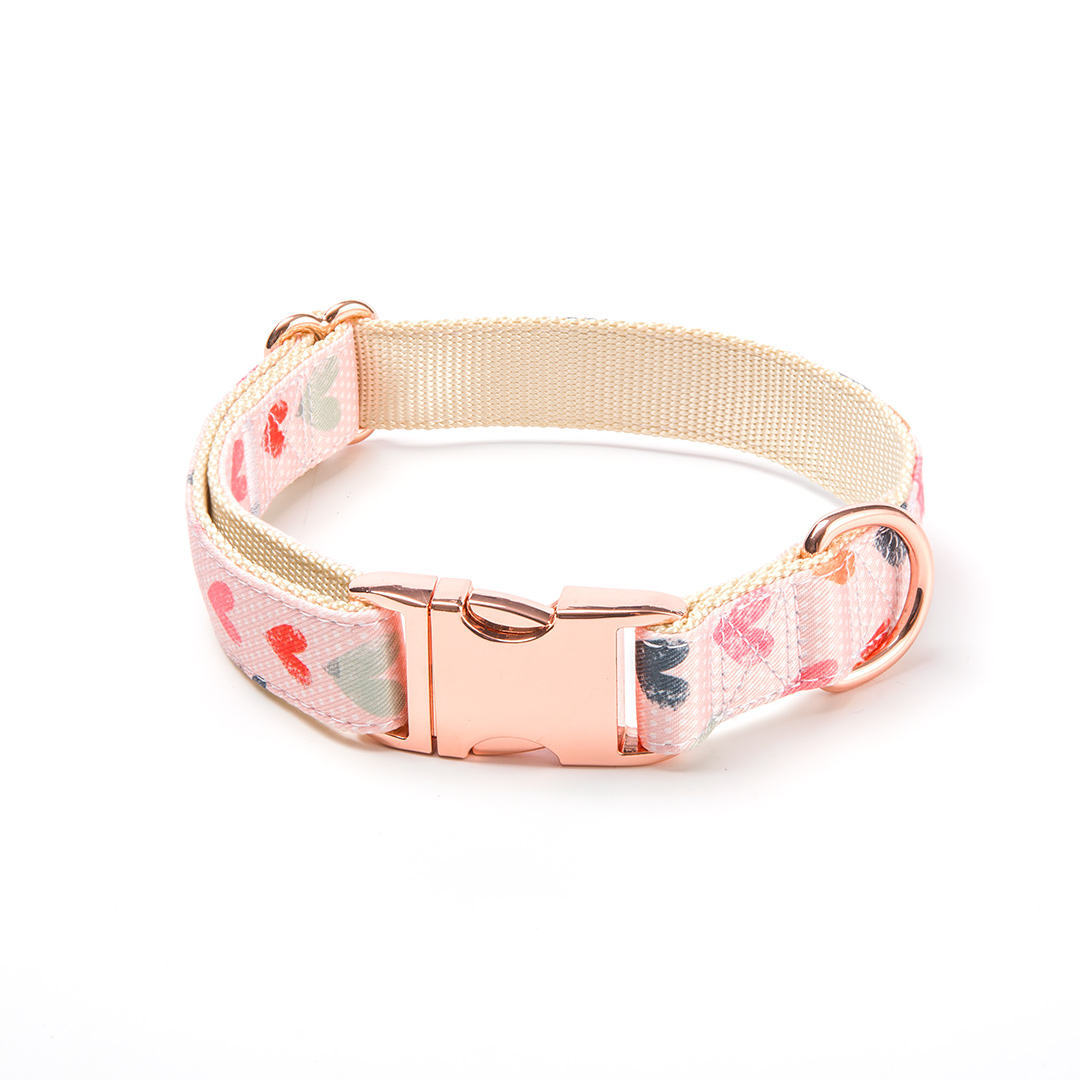 KFX-2443325 Valentine's Day Themed Dog Walking Suit with Collar, Bow, and Leash - Various Styles Available