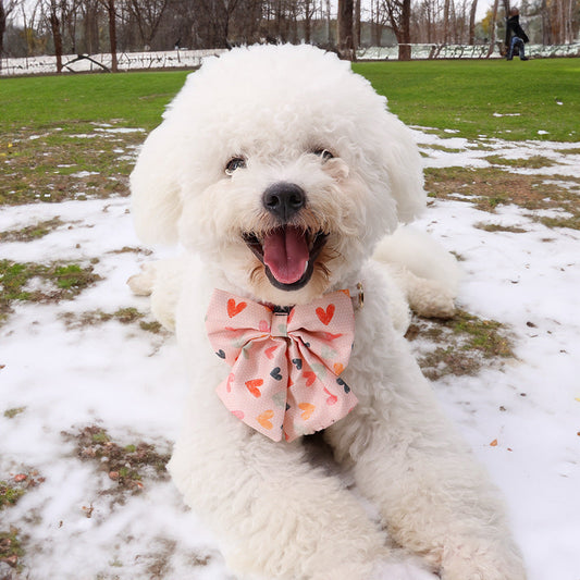 KFX-2443325 Valentine's Day Themed Dog Walking Suit with Collar, Bow, and Leash - Various Styles Available