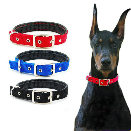 KFX-2446909 Reflective Nylon Dog Collars with Traction Belt - Medium to XL Sizes Available