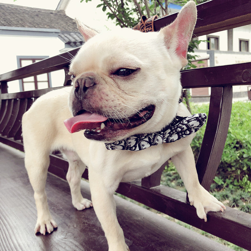 KFX-2449085 Customizable Removable Pet Bow Tie Collar for Dogs in Multiple Colors