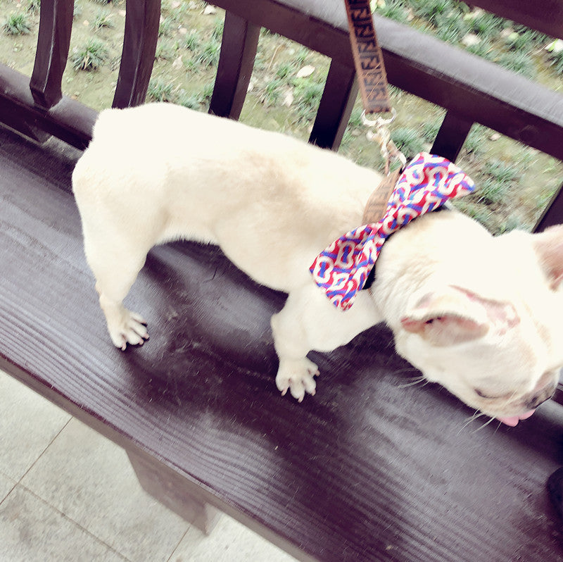 KFX-2449085 Customizable Removable Pet Bow Tie Collar for Dogs in Multiple Colors