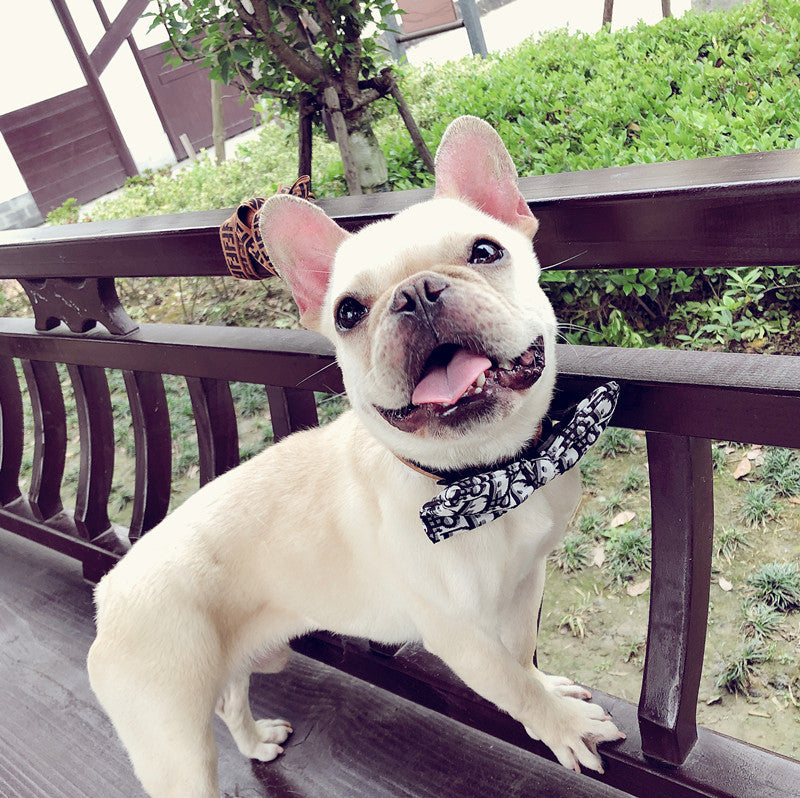 KFX-2449085 Customizable Removable Pet Bow Tie Collar for Dogs in Multiple Colors