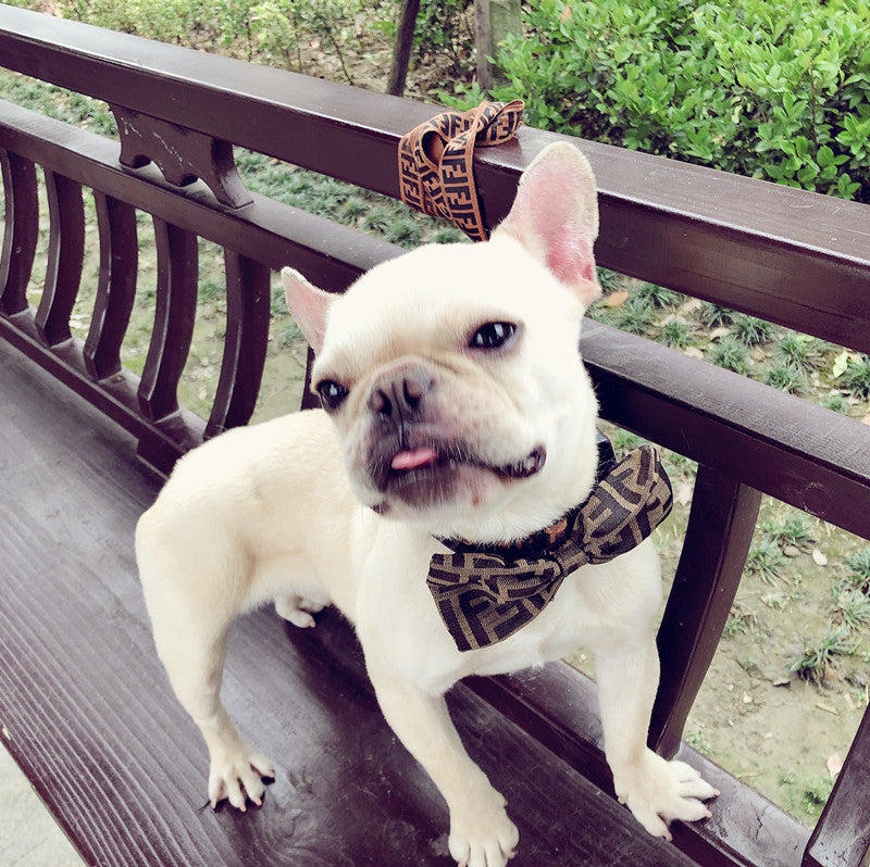 KFX-2449085 Customizable Removable Pet Bow Tie Collar for Dogs in Multiple Colors