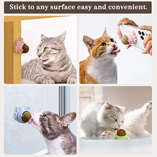 KFX-2454333 Wall-Mounted Catnip Balls for Cats - Natural Dental Chew Toys with Healthy Benefits