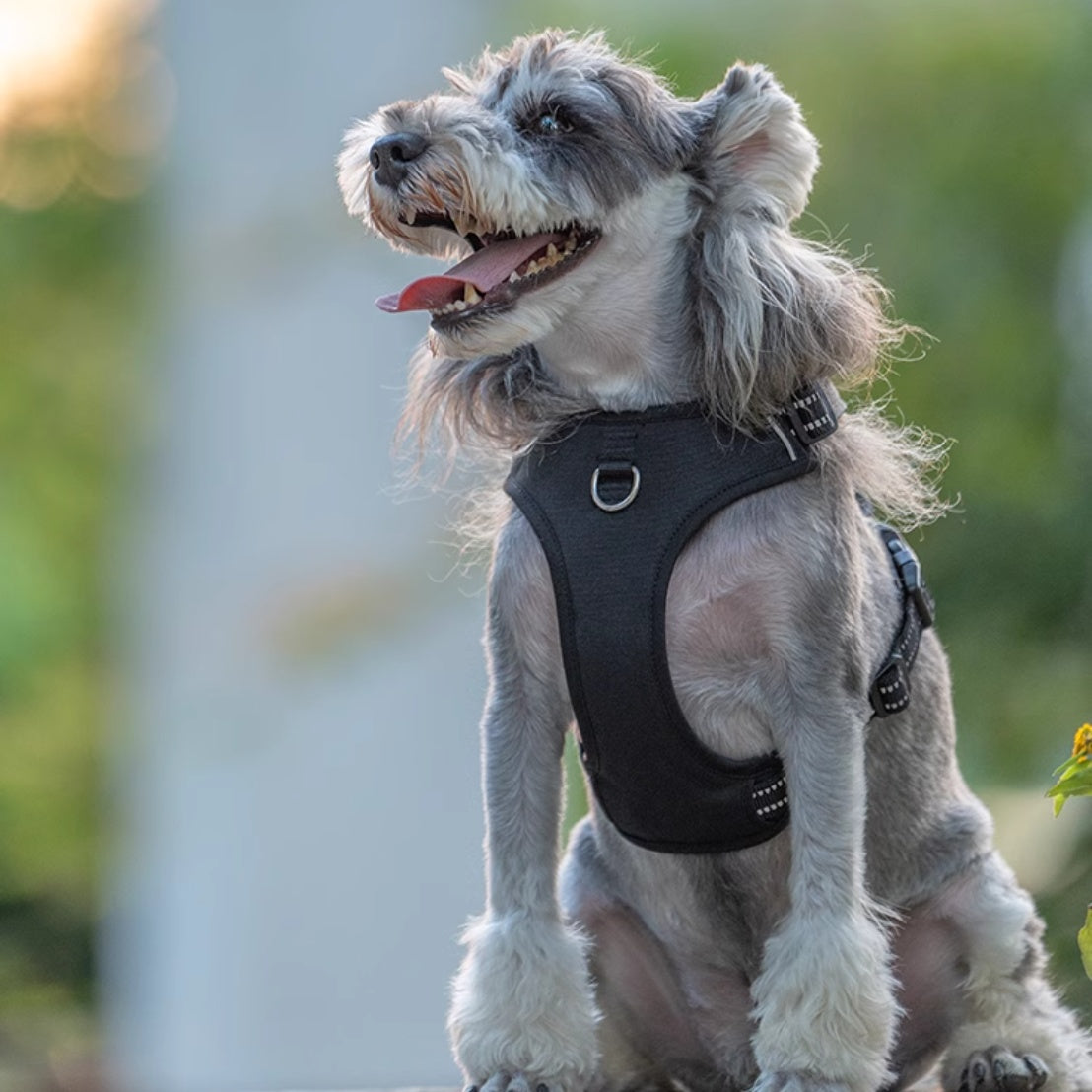 KFX-2461885 Pet Safety Vest with Adjustable Breast Strap and Hand Holding Rope - Available in Purple and Black