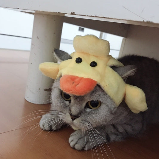 KFX-2465981 Cute Cat Headgear with Ear Holes – Warm Soft Decorative Hat for Kittens and Adult Cats