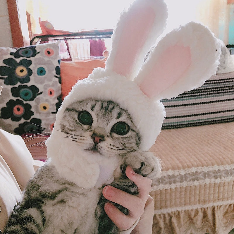 KFX-2465981 Cute Cat Headgear with Ear Holes – Warm Soft Decorative Hat for Kittens and Adult Cats