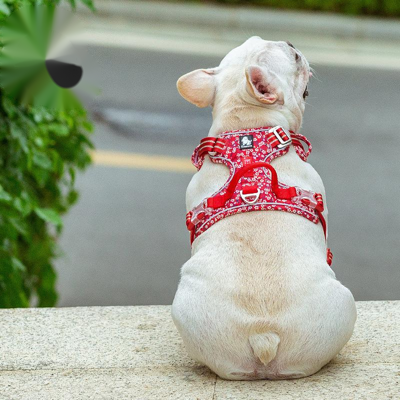 KFX-2467645 Floral Dog Chest Strap with Reflective Nylon and Aluminum Buckle