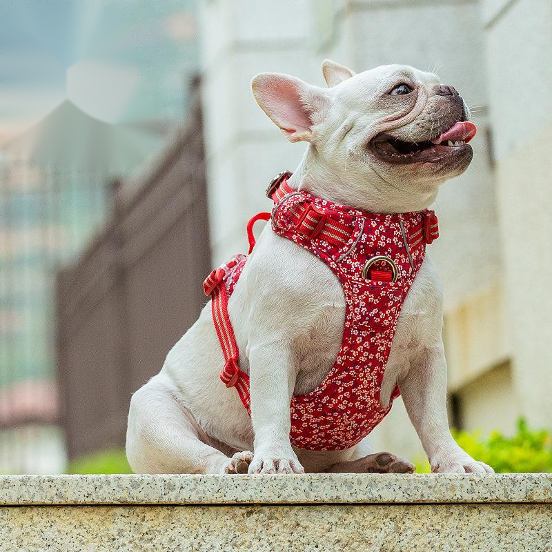KFX-2467645 Floral Dog Chest Strap with Reflective Nylon and Aluminum Buckle