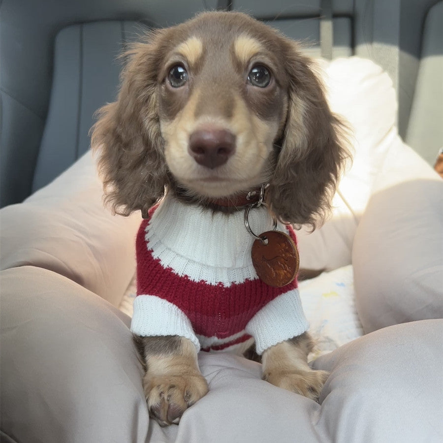 KFX-2472125 Cozy Red and White Striped Sweater for Small Dogs and Cats