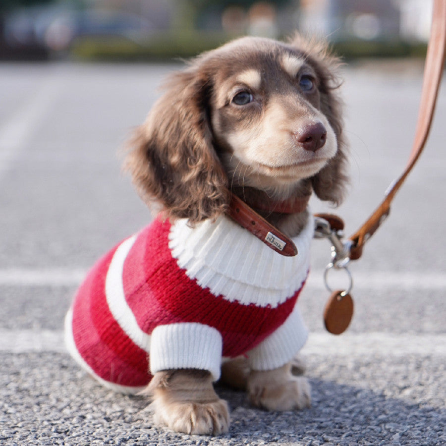 KFX-2472125 Cozy Red and White Striped Sweater for Small Dogs and Cats