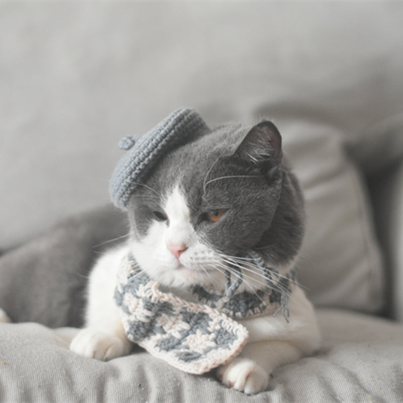 KFX-2484669 Fashionable Pet Beret and Scarf Set with Clear Glasses for Cats and Small Dogs