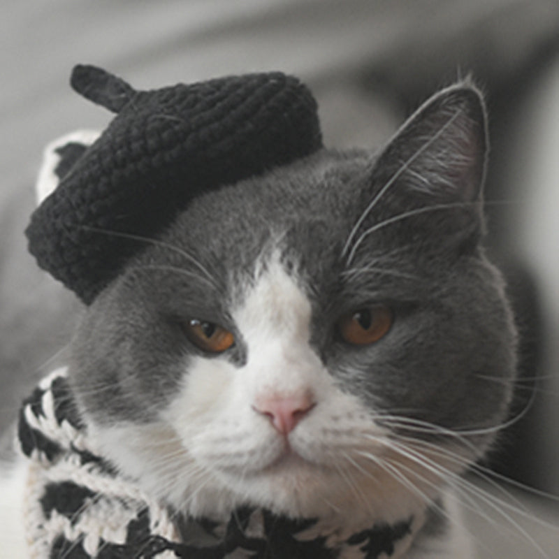 KFX-2484669 Fashionable Pet Beret and Scarf Set with Clear Glasses for Cats and Small Dogs