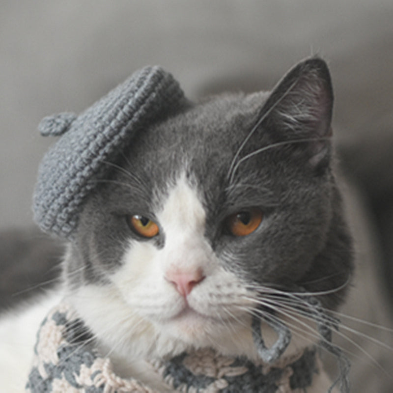KFX-2484669 Fashionable Pet Beret and Scarf Set with Clear Glasses for Cats and Small Dogs