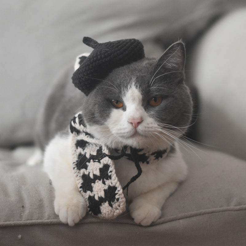 KFX-2484669 Fashionable Pet Beret and Scarf Set with Clear Glasses for Cats and Small Dogs