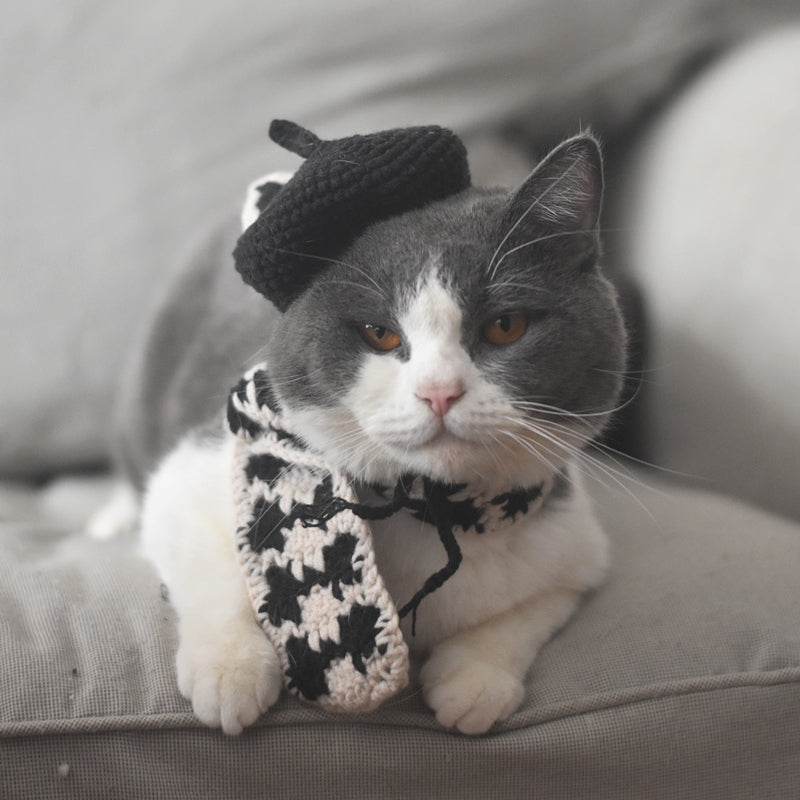 KFX-2484669 Fashionable Pet Beret and Scarf Set with Clear Glasses for Cats and Small Dogs