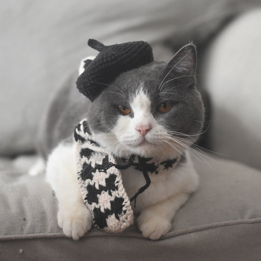KFX-2484669 Fashionable Pet Beret and Scarf Set with Clear Glasses for Cats and Small Dogs