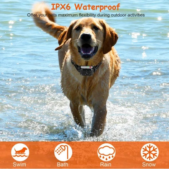 KFX-2491069 Wireless Dog Training Collar with 990FT Range, Waterproof Receiver, Beep/Vibration/Shock Modes, Rechargeable System