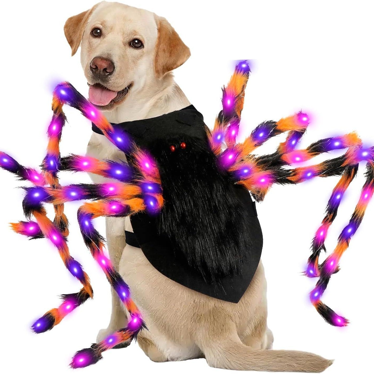 KFX-2495933 Luminous Spider Costume for Pets - Halloween Dress Up for Cats and Dogs in Multiple Sizes
