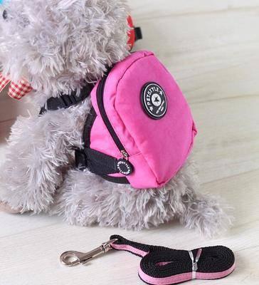 KFX-2497597 Small Dog and Cat Self-Backpack with Breathable Mesh and Adjustable Traction Rope