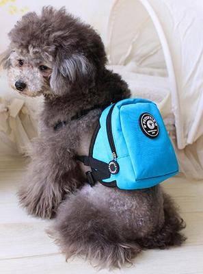 KFX-2497597 Small Dog and Cat Self-Backpack with Breathable Mesh and Adjustable Traction Rope