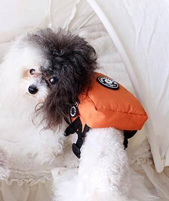 KFX-2497597 Small Dog and Cat Self-Backpack with Breathable Mesh and Adjustable Traction Rope