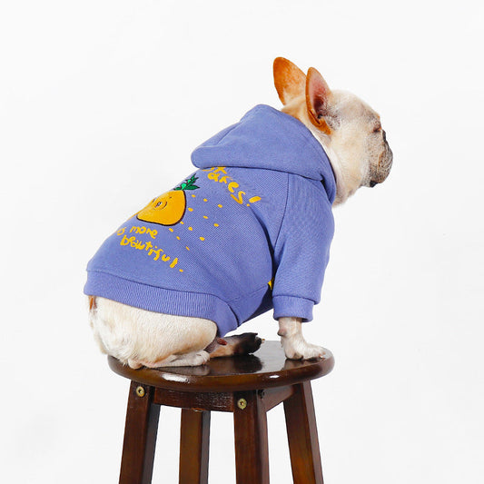 KFX-2501693 Cozy Cartoon Printed Plush Pet Hoodie in Blue and Purple for Comfortable Winter Wear