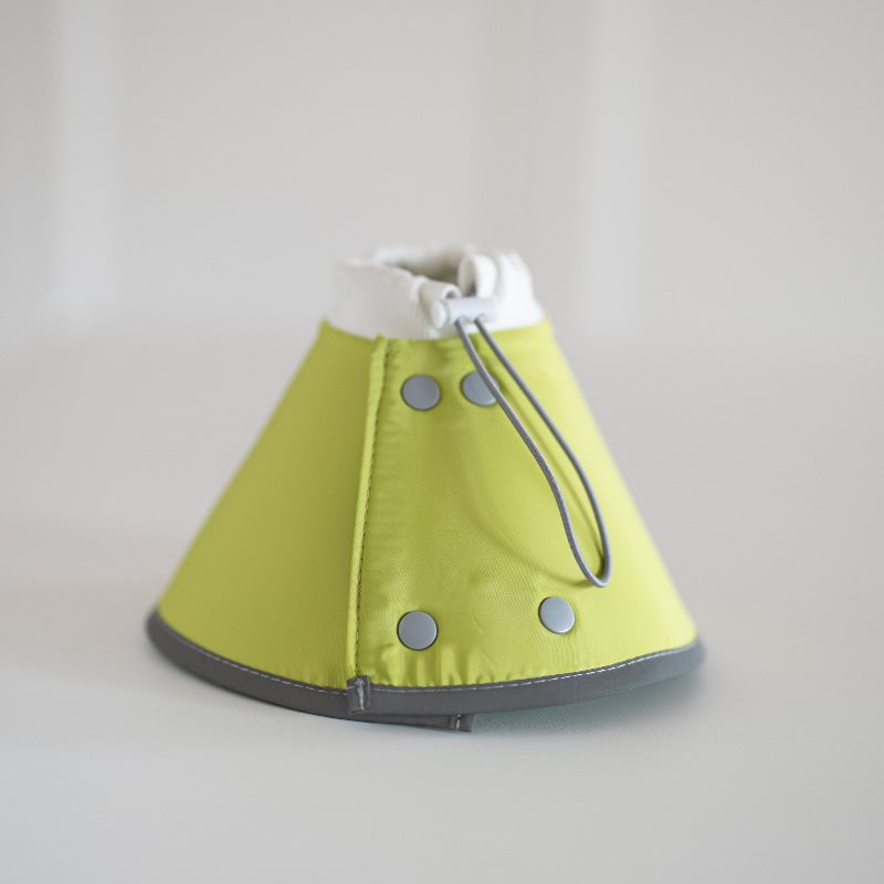 KFX-2502589 Fashionable Waterproof Pet Collar and Headgear for Dogs and Cats in Multiple Colors