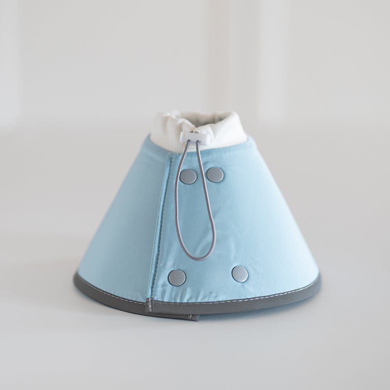KFX-2502589 Fashionable Waterproof Pet Collar and Headgear for Dogs and Cats in Multiple Colors
